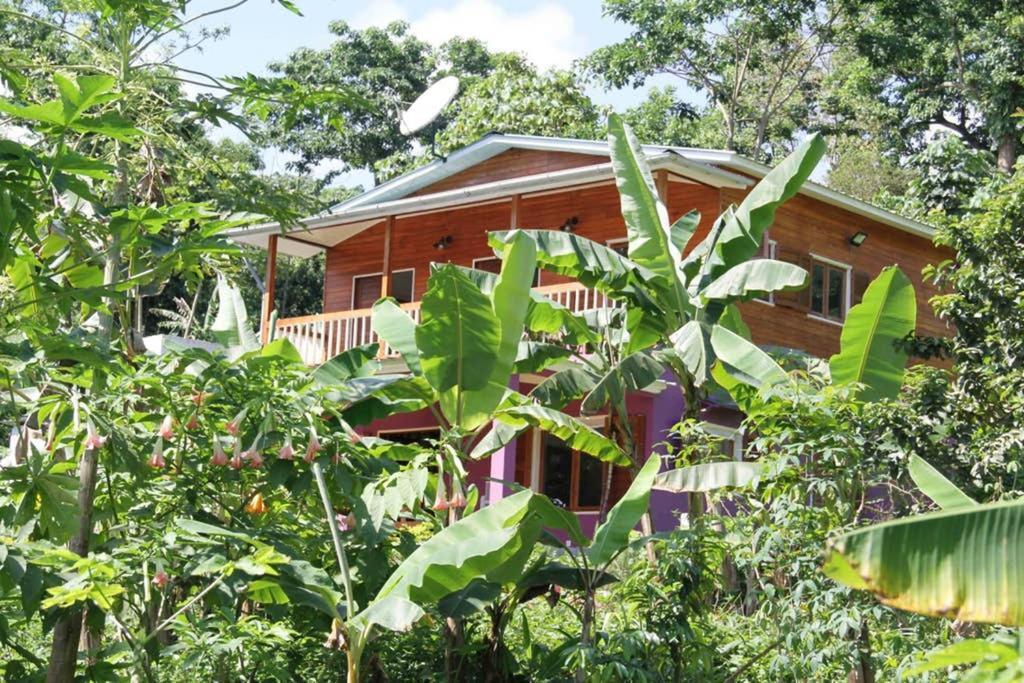 Bema Farm Villa Sao Jose Екстериор снимка